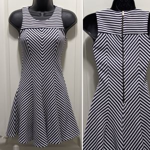 Fit Flare Stripe Dress